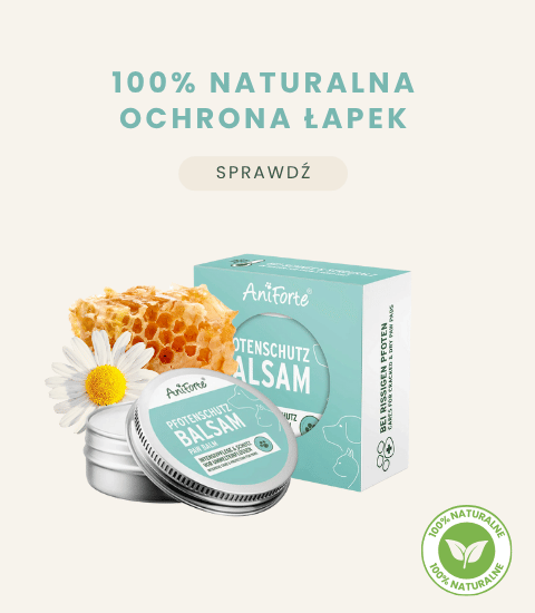 AniForte balsam do łapek