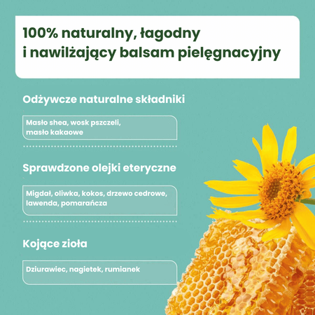 AniForte ® Paw Balsam– 100% Naturalny Balsam Ochronny do Łapek Psa na Lato i Zimę 60ml