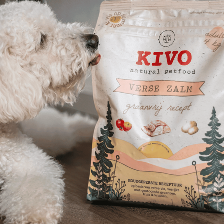 KIVO Fresh Salmon – Bezglutenowa, Bezzbożowa Sucha Karma z Łososiem dla Psa Tłoczona na Zimno 4kg