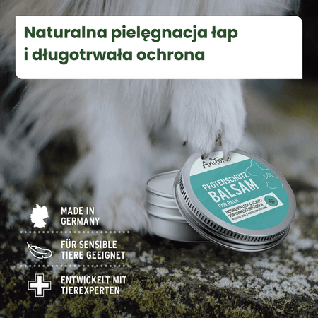 AniForte ® Paw Balsam– 100% Naturalny Balsam Ochronny do Łapek Psa na Lato i Zimę 60ml