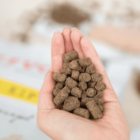 KIVO Fresh Chicken – Bezglutenowa Sucha Karma z Kurczakiem dla Psa Tłoczona na Zimno 4kg