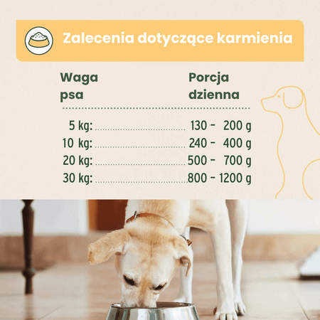  AniForte ® Pure Nature Greenfield Turkey – Naturalna Mokra Karma Indyk z Komosą Ryżową Bez Glutenu 400g