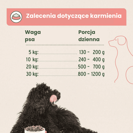 AniForte ® Pure Nature CountryBeef – Naturalna Mokra Karma Wołowina Bez Glutenu i Zbóż 400g