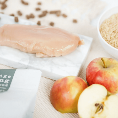 KIVO Fresh Chicken Puppy - Bezglutenowa Karma Sucha z Kurczakiem dla Szczeniąt Tłoczona na Zimno 4kg