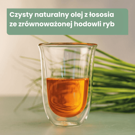 AniForte® Lachsöl – 100% Naturalny Olej z Łososia dla Psa 100ml