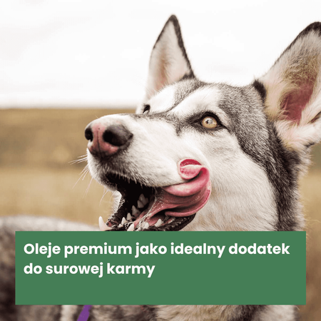 AniForte ® Premium Futteröl – 100% Naturalne Oleje dla Psa 250ml